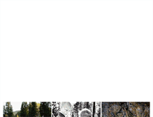 Tablet Screenshot of laurenbrownphoto.com